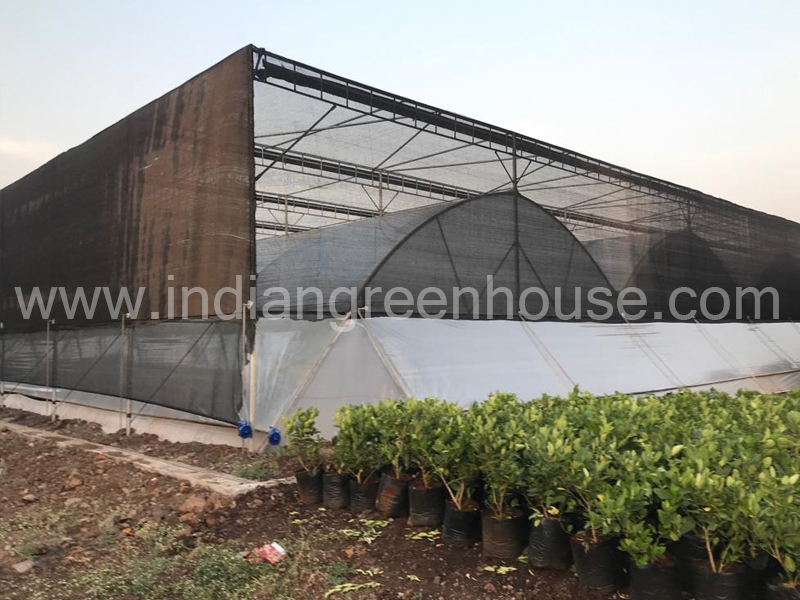  Greenhouse Farming & Manufacturers