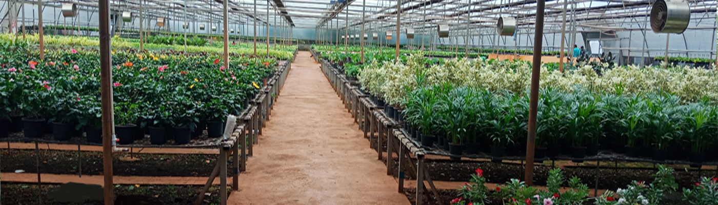 Greenhouse Manufacturers in india