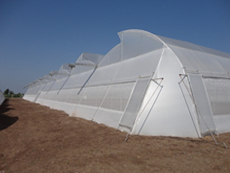  Greenhouse Farming & Manufacturers