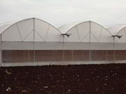 Subsidy for Greenhouse Subsidy in india