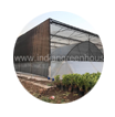 capsicum cultivation in india